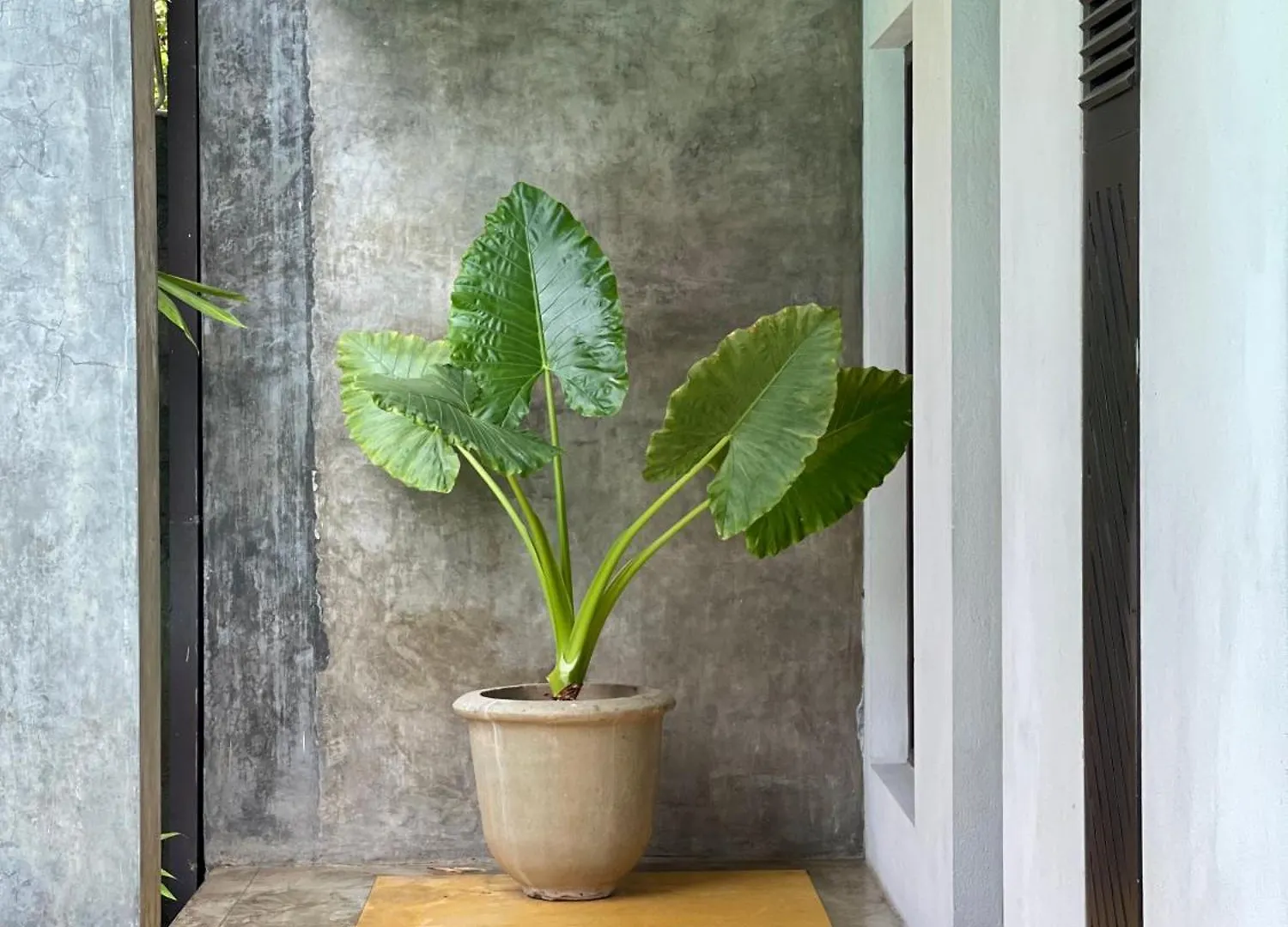 Olanro Hotel Negombo